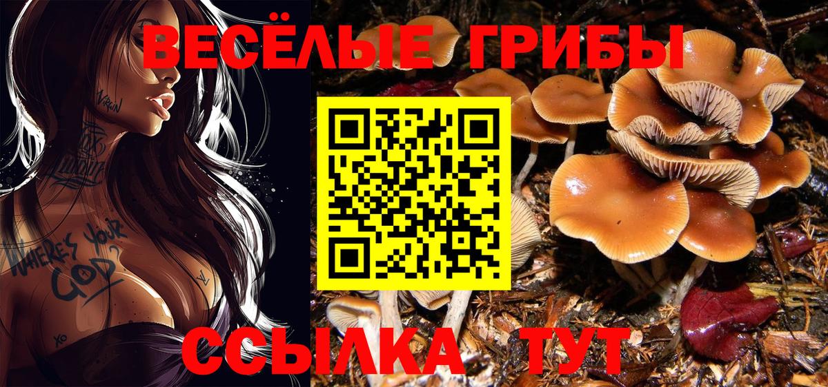 Псилоцибиновые грибы Magic Shrooms  Вход с VPN  Великий Новгород 