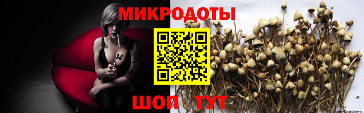 Галлюциногенные грибы MAGIC MUSHROOMS Великий Новгород